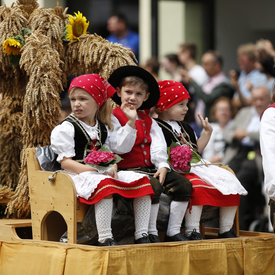 Schützenfest Biberach 2018 (4)